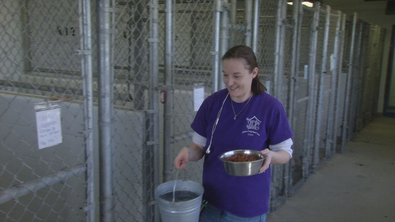 Employee of Harrison County Animal Shelter 2-26-19